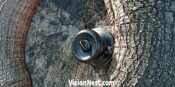 Tree with black pin